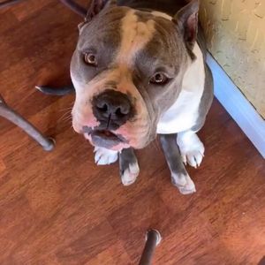 Meet your Posher, Luis